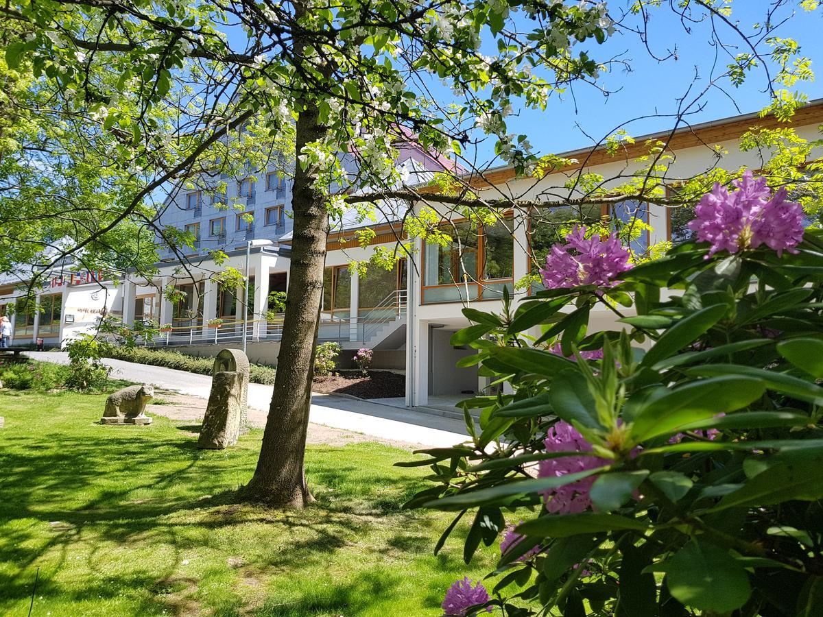 Krakonos 3* Marianske Lazne